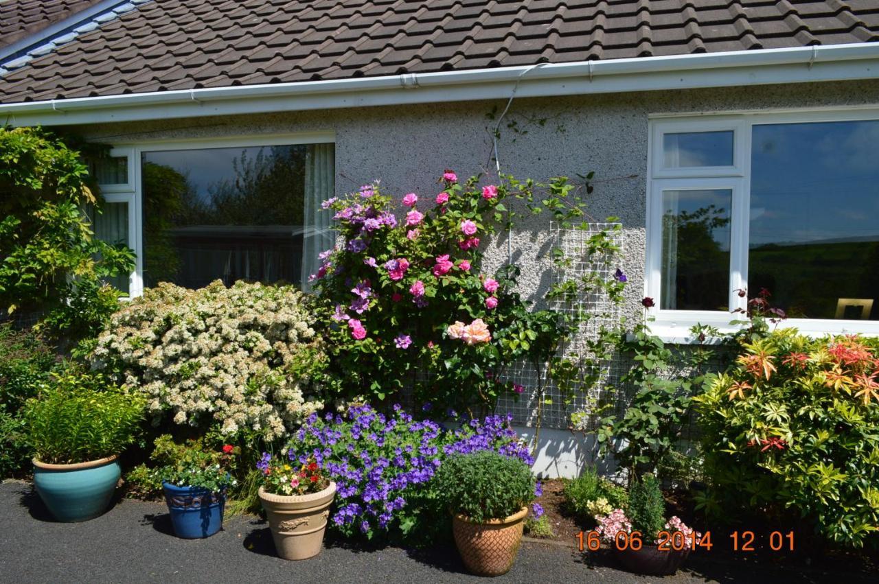 Meadow View B&B Ballymena Luaran gambar