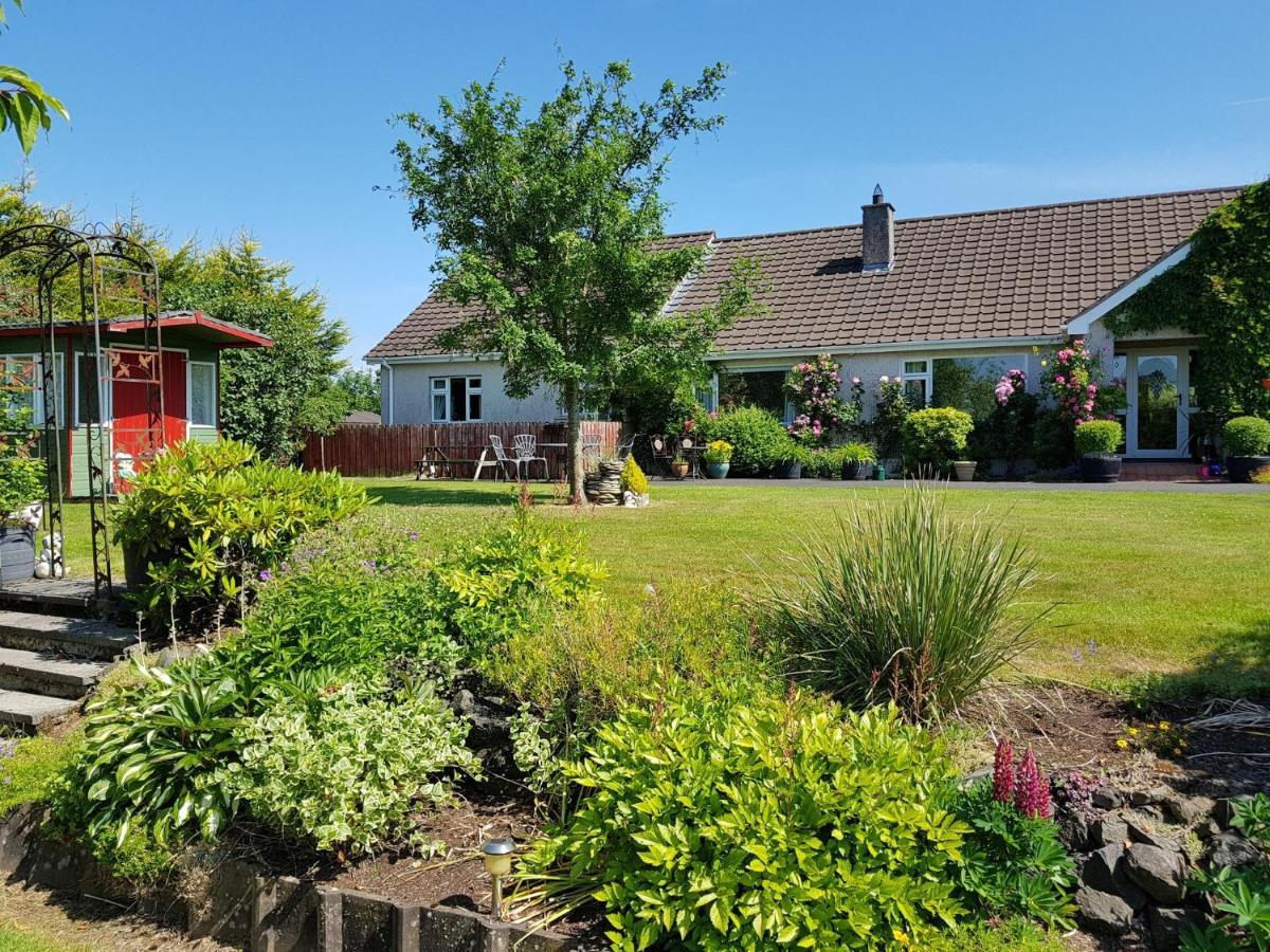 Meadow View B&B Ballymena Luaran gambar
