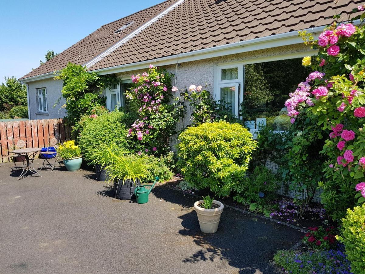 Meadow View B&B Ballymena Luaran gambar
